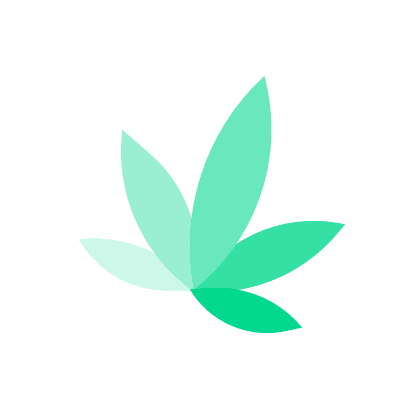 Fancy Glass Pipe Fancy Glass Pipe